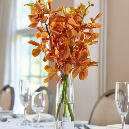 Orange Mokara Bud Vase –  Serenity Floral, Lake Geneva WI