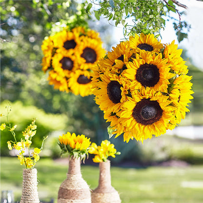 Sublime Garden Hanging Arrangement –  Serenity Floral, Lake Geneva WI