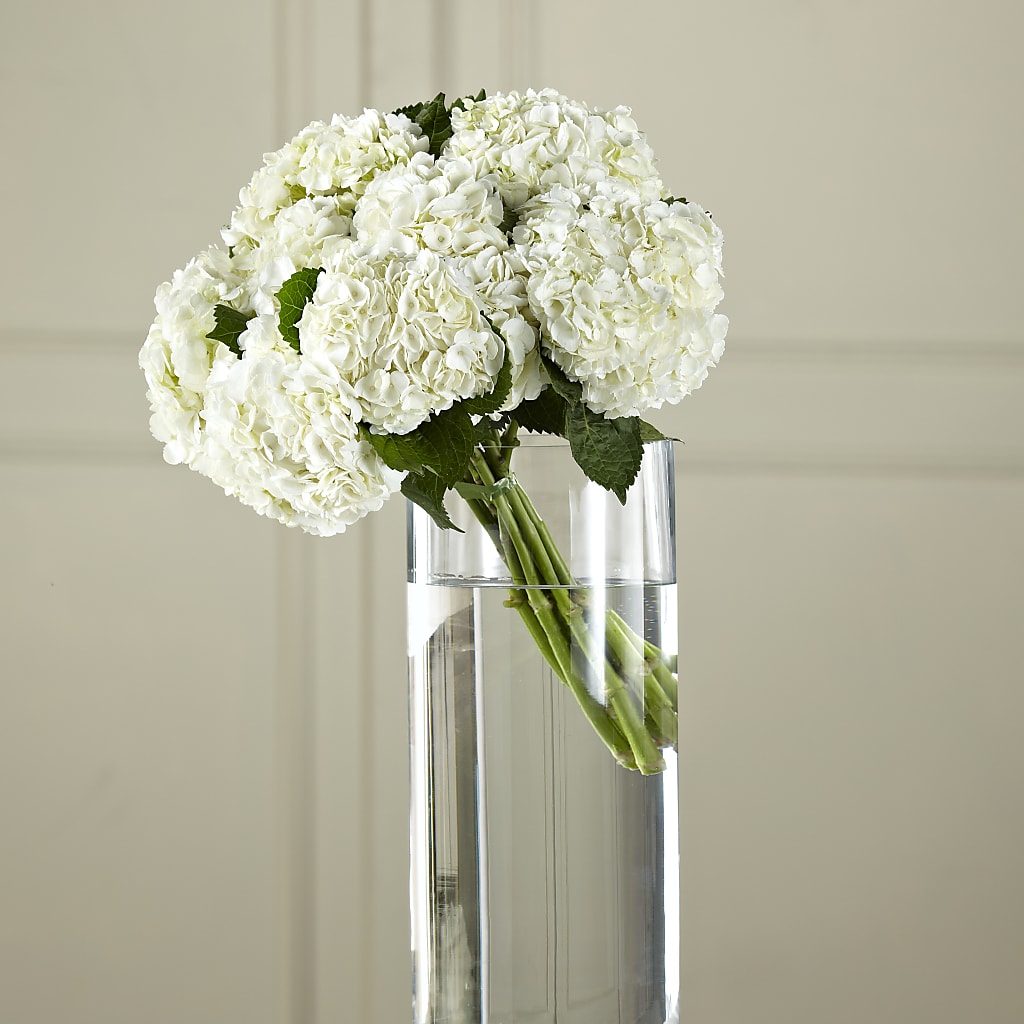 White Hydrangea Hand-Tied Bouquet –  Serenity Floral, Lake Geneva WI