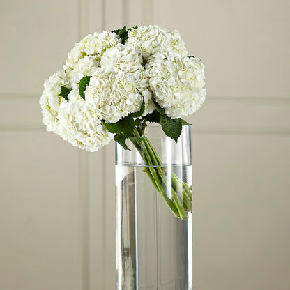 White Hydrangea Hand-Tied Bouquet –  Serenity Floral, Lake Geneva WI