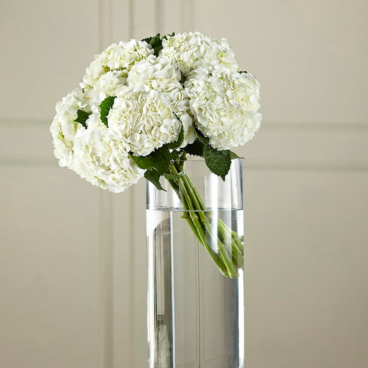 White Hydrangea Hand-Tied Bouquet –  Serenity Floral, Lake Geneva WI