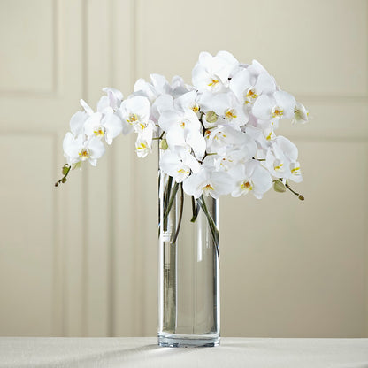 White Phalaenopsis Bouquet –  Serenity Floral, Lake Geneva WI