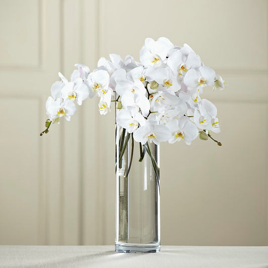 White Phalaenopsis Bouquet –  Serenity Floral, Lake Geneva WI