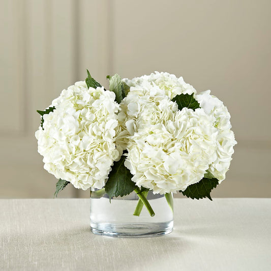 White Hydrangea Bouquet –  Serenity Floral, Lake Geneva WI